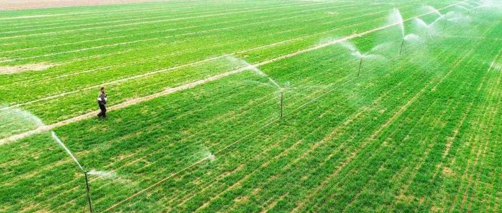 水利部部署开展2022年农业灌溉面积遥感监测与用水量核算应用示范工作